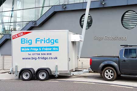 Fridge Sales